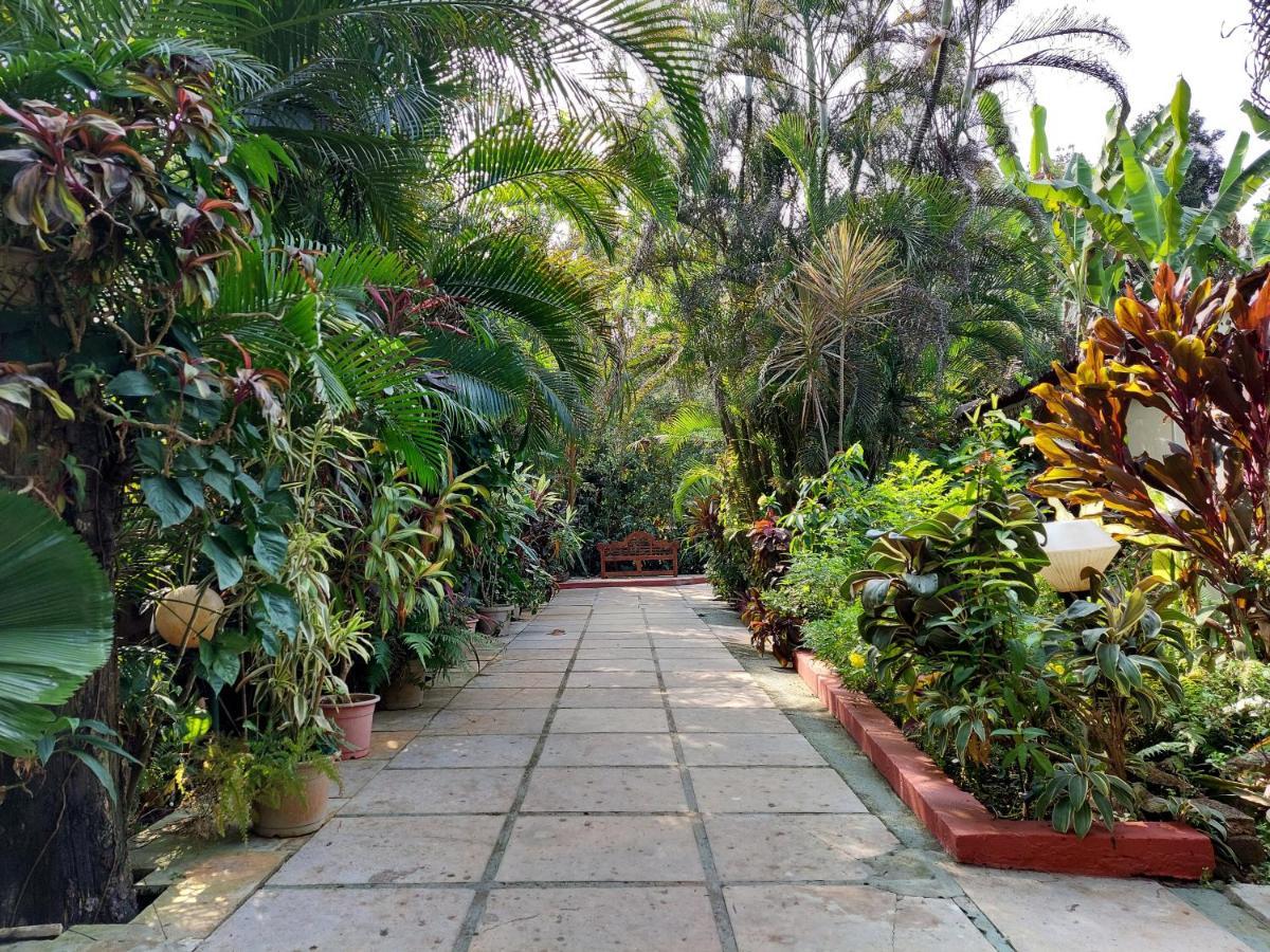 Palm Grove Cottages - Leisure Resort Benaulim Exterior foto