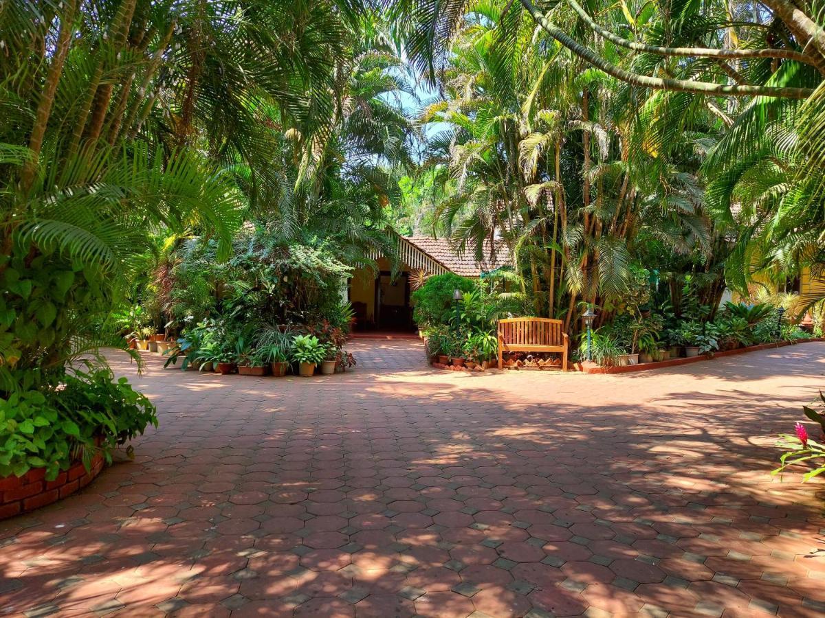 Palm Grove Cottages - Leisure Resort Benaulim Exterior foto